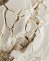DEFATTED SOY FLOUR