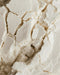 DEFATTED SOY FLOUR