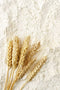 WHOLE WHEAT FLOUR